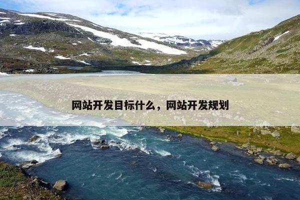 网站开发目标什么，网站开发规划