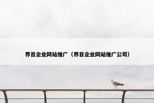 界首企业网站推广（界首企业网站推广公司）