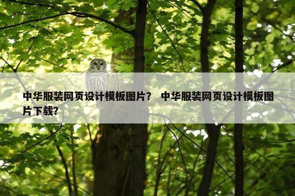 中华服装网页设计模板图片？ 中华服装网页设计模板图片下载？