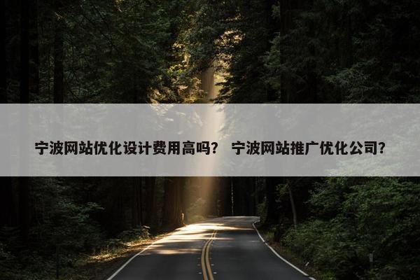 宁波网站优化设计费用高吗？ 宁波网站推广优化公司？