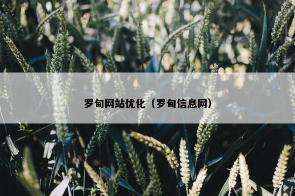 罗甸网站优化（罗甸信息网）
