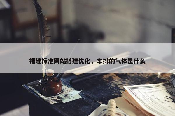 福建标准网站搭建优化，车排的气体是什么