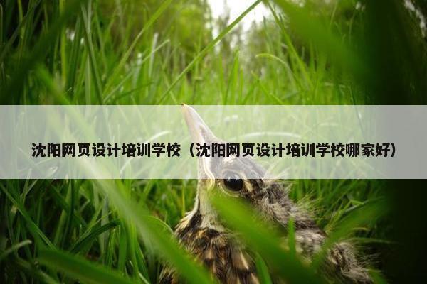 沈阳网页设计培训学校（沈阳网页设计培训学校哪家好）