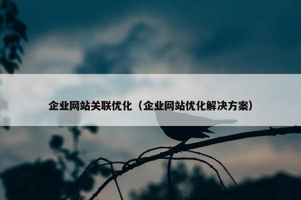企业网站关联优化（企业网站优化解决方案）