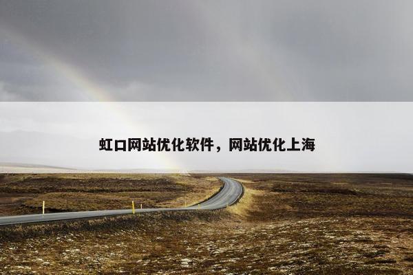 虹口网站优化软件，网站优化上海