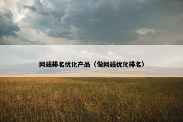 网站排名优化产品（做网站优化排名）