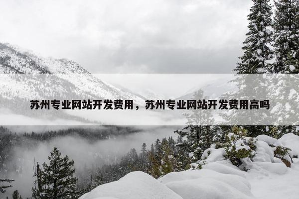 苏州专业网站开发费用，苏州专业网站开发费用高吗