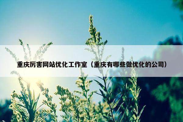 重庆厉害网站优化工作室（重庆有哪些做优化的公司）