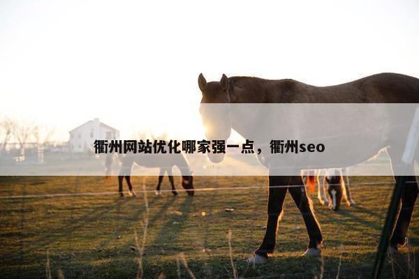 衢州网站优化哪家强一点，衢州seo