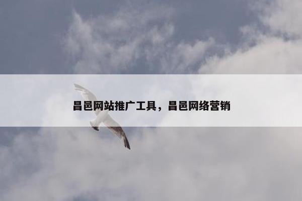 昌邑网站推广工具，昌邑网络营销