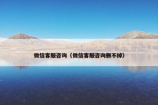 微信客服咨询（微信客服咨询删不掉）