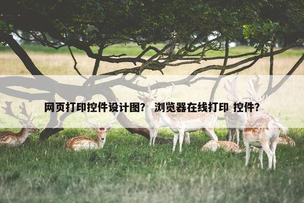 网页打印控件设计图？ 浏览器在线打印 控件？