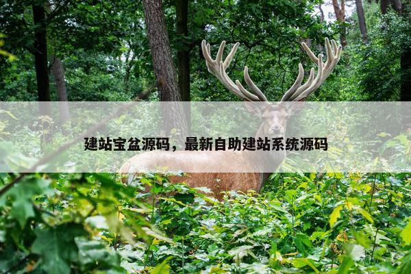 建站宝盆源码，最新自助建站系统源码