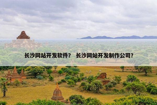 长沙网站开发软件？ 长沙网站开发制作公司？
