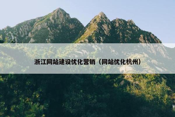 浙江网站建设优化营销（网站优化杭州）