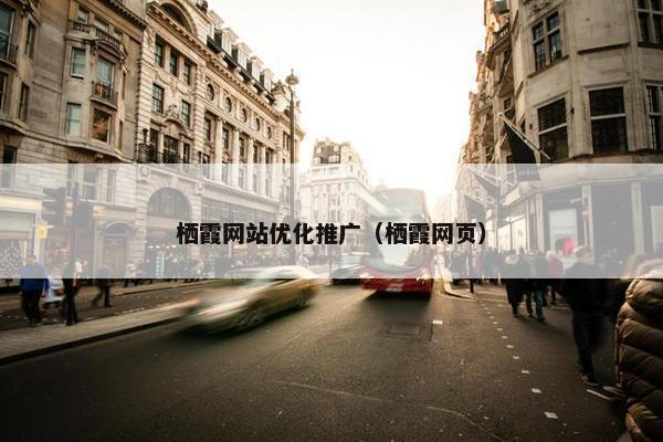 栖霞网站优化推广（栖霞网页）