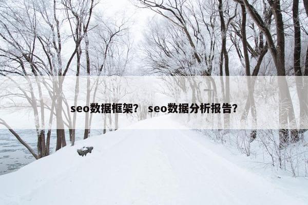 seo数据框架？ seo数据分析报告？