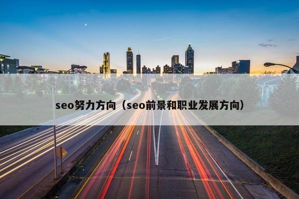 seo努力方向（seo前景和职业发展方向）