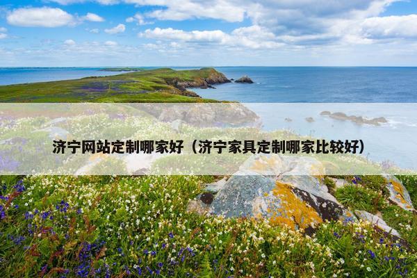 济宁网站定制哪家好（济宁家具定制哪家比较好）