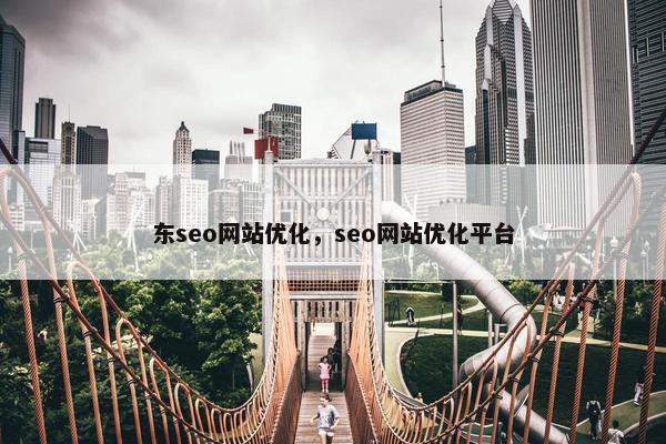 东seo网站优化，seo网站优化平台