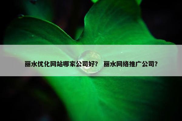丽水优化网站哪家公司好？ 丽水网络推广公司？