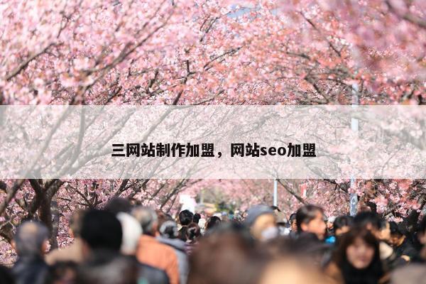 三网站制作加盟，网站seo加盟