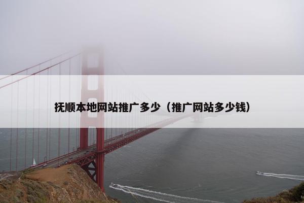 抚顺本地网站推广多少（推广网站多少钱）