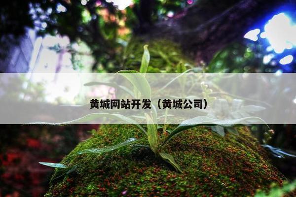 黄城网站开发（黄城公司）