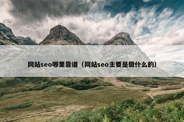 网站seo哪里靠谱（网站seo主要是做什么的）