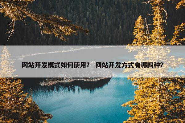 网站开发模式如何使用？ 网站开发方式有哪四种？