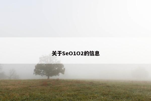 关于SeO1O2的信息