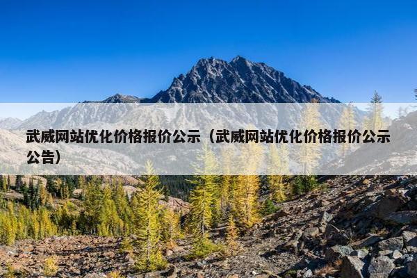 武威网站优化价格报价公示（武威网站优化价格报价公示公告）