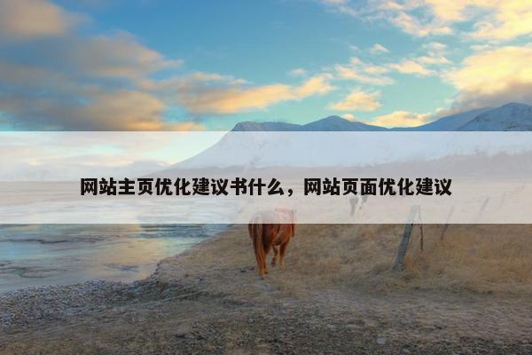 网站主页优化建议书什么，网站页面优化建议
