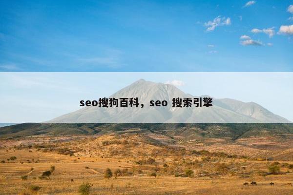 seo搜狗百科，seo 搜索引擎
