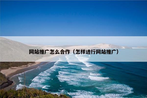 网站推广怎么合作（怎样进行网站推广）
