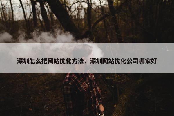 深圳怎么把网站优化方法，深圳网站优化公司哪家好