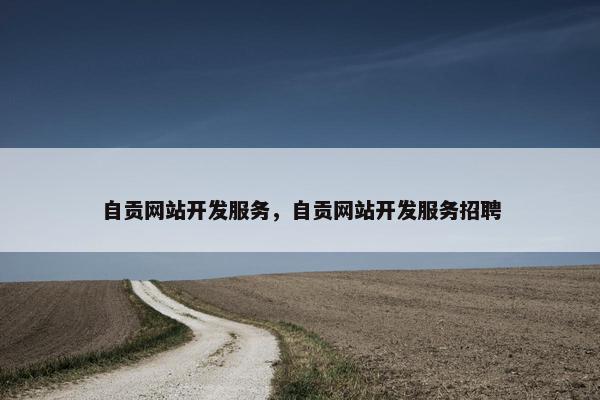 自贡网站开发服务，自贡网站开发服务招聘