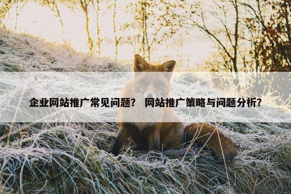 企业网站推广常见问题？ 网站推广策略与问题分析？