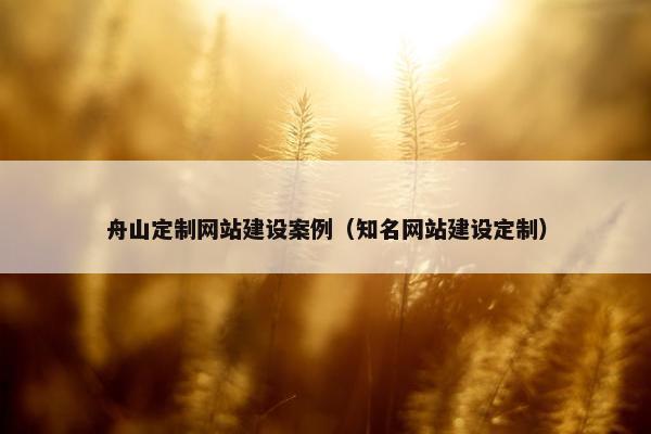 舟山定制网站建设案例（知名网站建设定制）