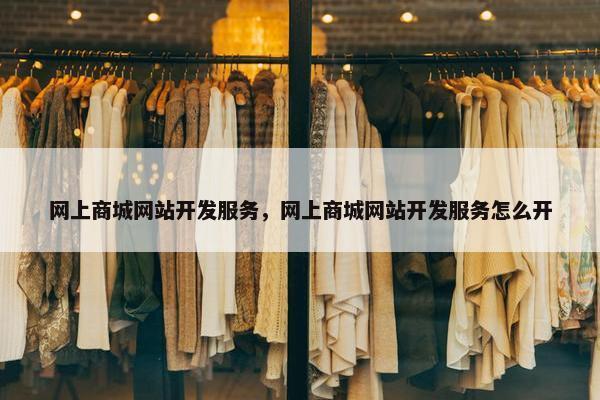 网上商城网站开发服务，网上商城网站开发服务怎么开
