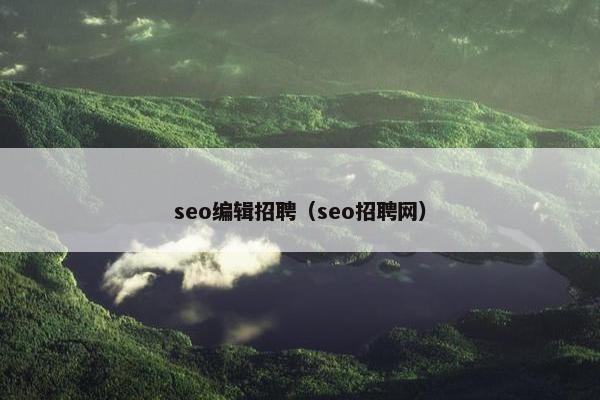 seo编辑招聘（seo招聘网）