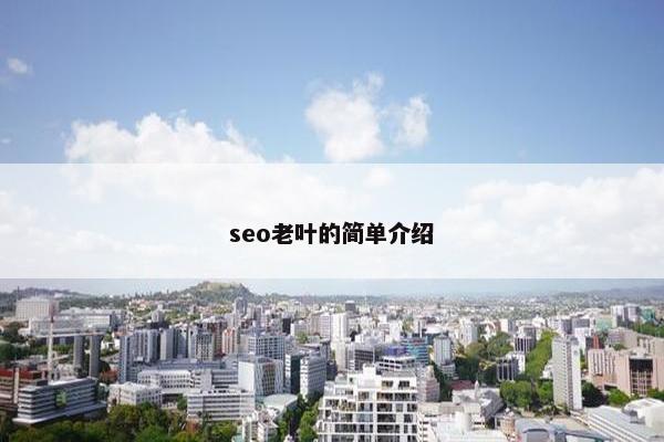 seo老叶的简单介绍
