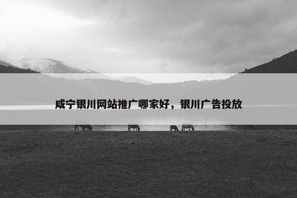 咸宁银川网站推广哪家好，银川广告投放