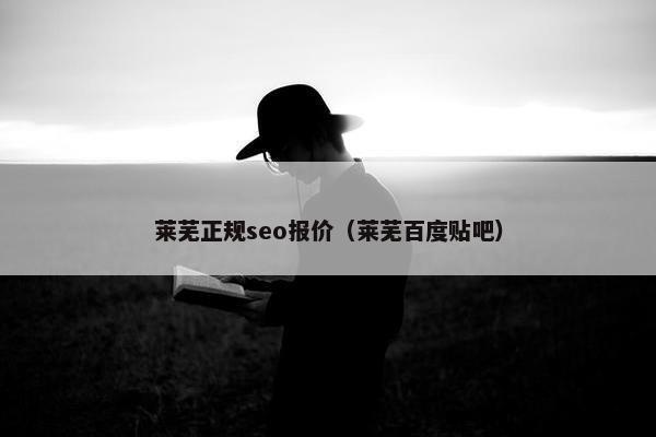 莱芜正规seo报价（莱芜百度贴吧）