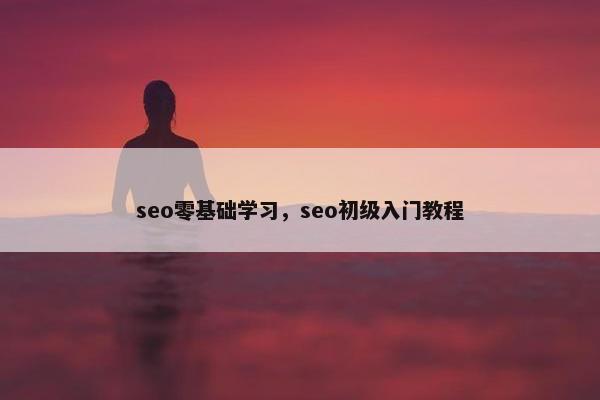 seo零基础学习，seo初级入门教程