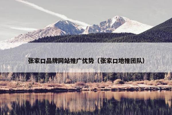 张家口品牌网站推广优势（张家口地推团队）