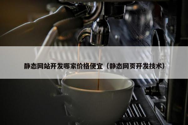 静态网站开发哪家价格便宜（静态网页开发技术）