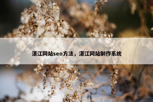 湛江网站seo方法，湛江网站制作系统