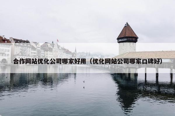 合作网站优化公司哪家好用（优化网站公司哪家口碑好）
