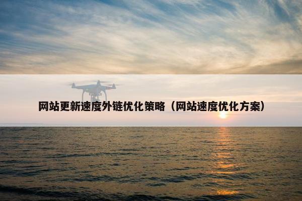 网站更新速度外链优化策略（网站速度优化方案）